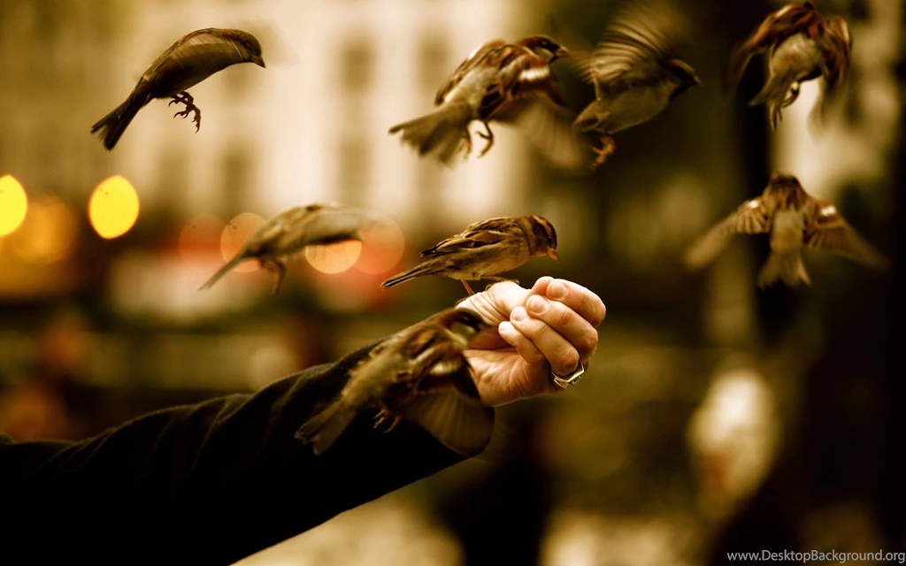 Great Photography S Wallpapers