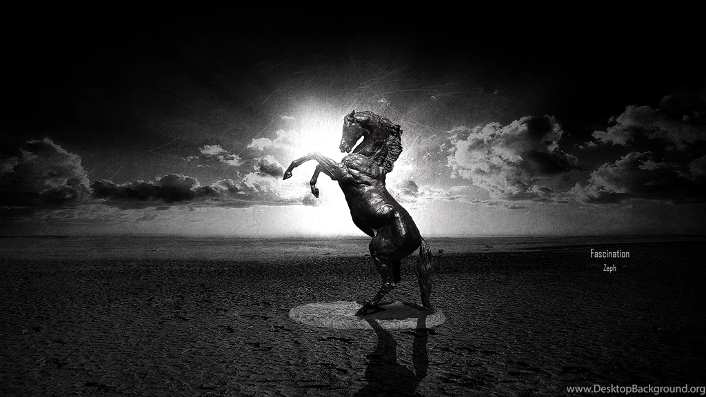 Abstraction Original Water Black White Horse (id: 165697) – BUZZERG