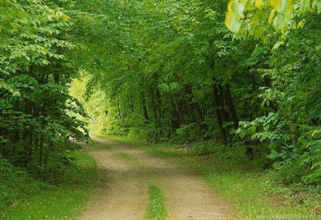 Natural Way Green Nature Wallpapers