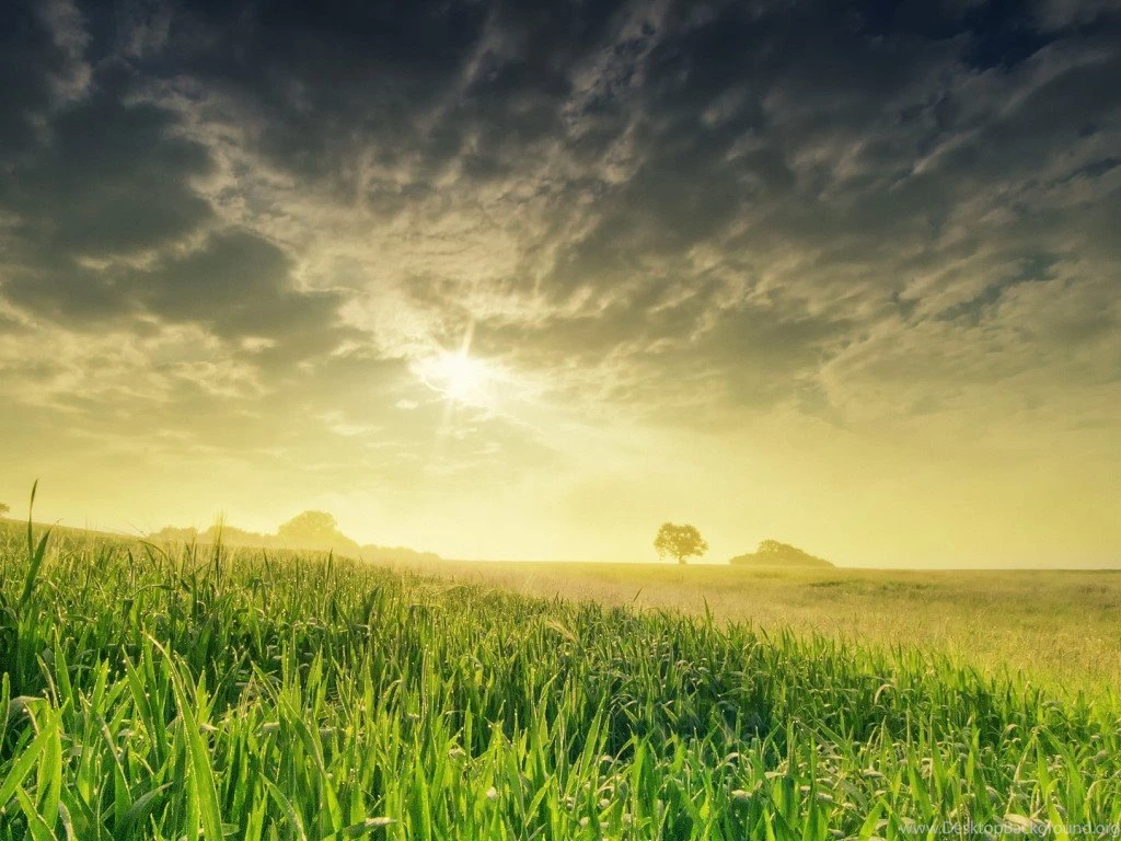 Superb Natural View Of Nature Wallpapers