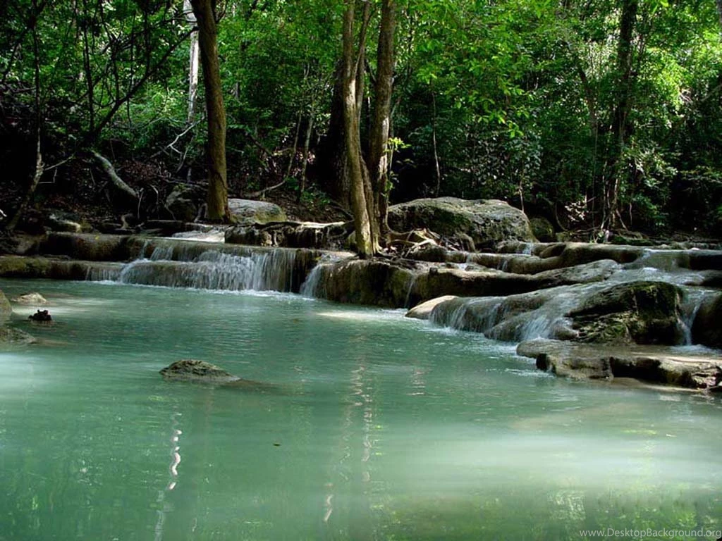 Download Natural Wallpapers   HD Wallpapers And Pictures