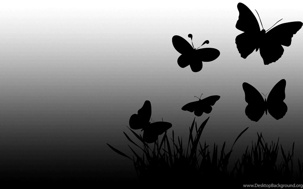 1361) Black Butterfly Wallpapers   WalOps.com