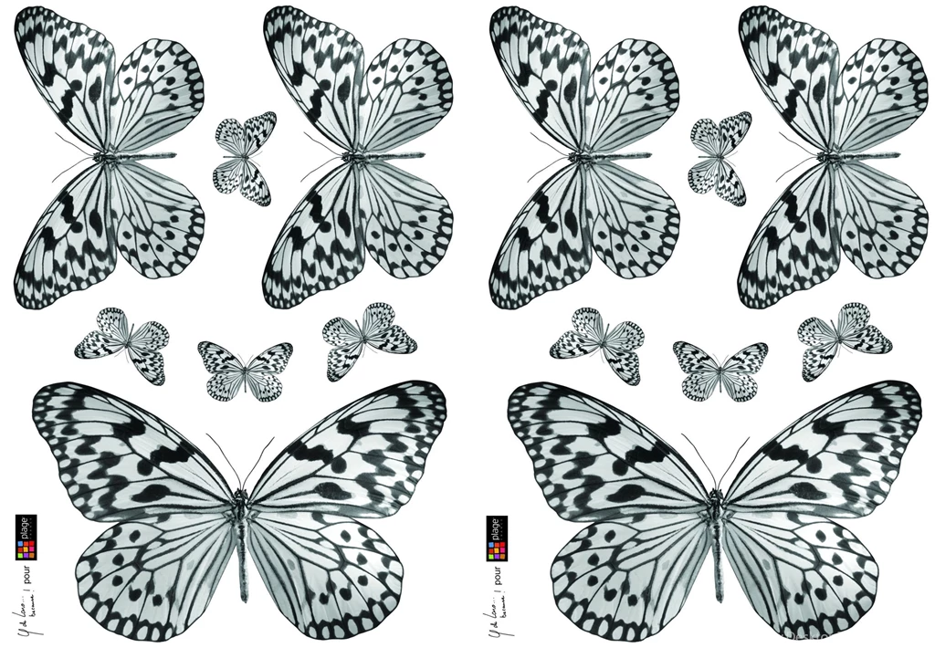 Black And White Butterfly Sticker Creative Wall Art : Wallpapers Direct