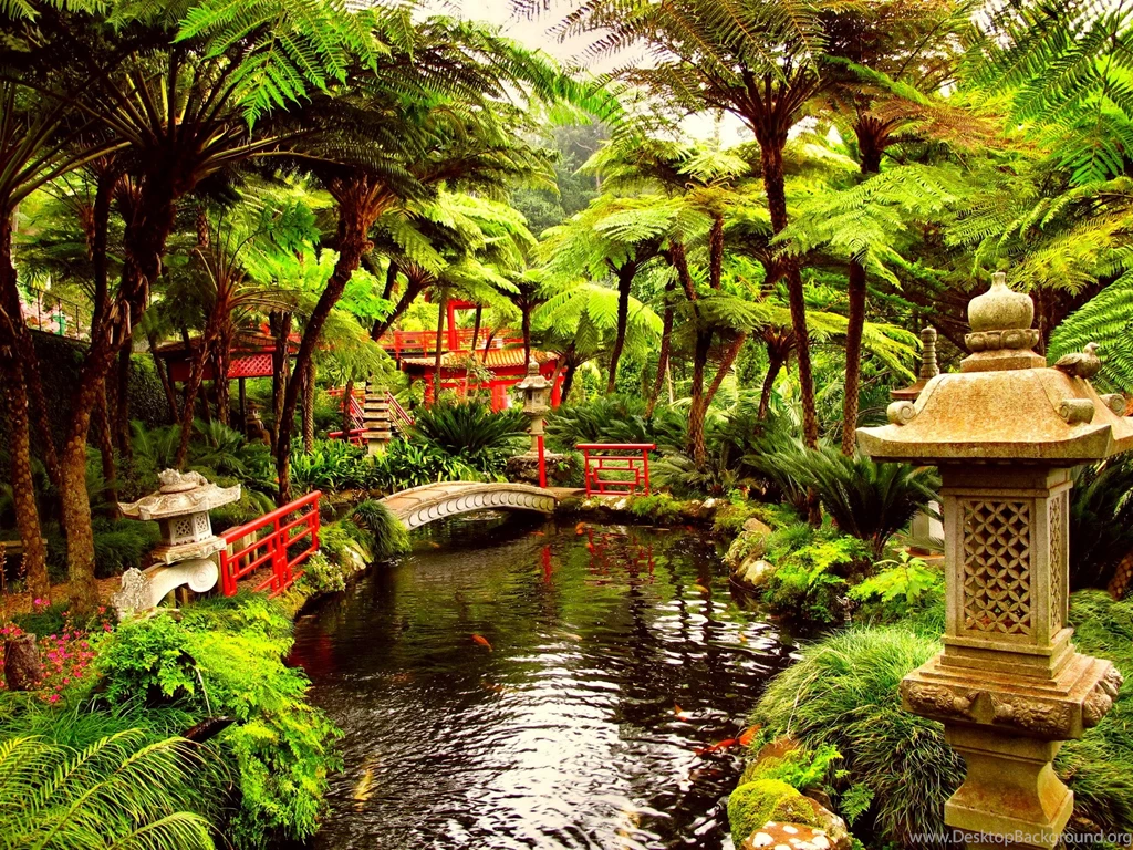 Abzg50 Astonishing Beautiful Zen Garden Today 2020 06 10