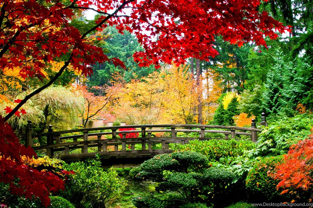 Flower Garden Wallpapers Design Decorating 1411733 Garden Design ...