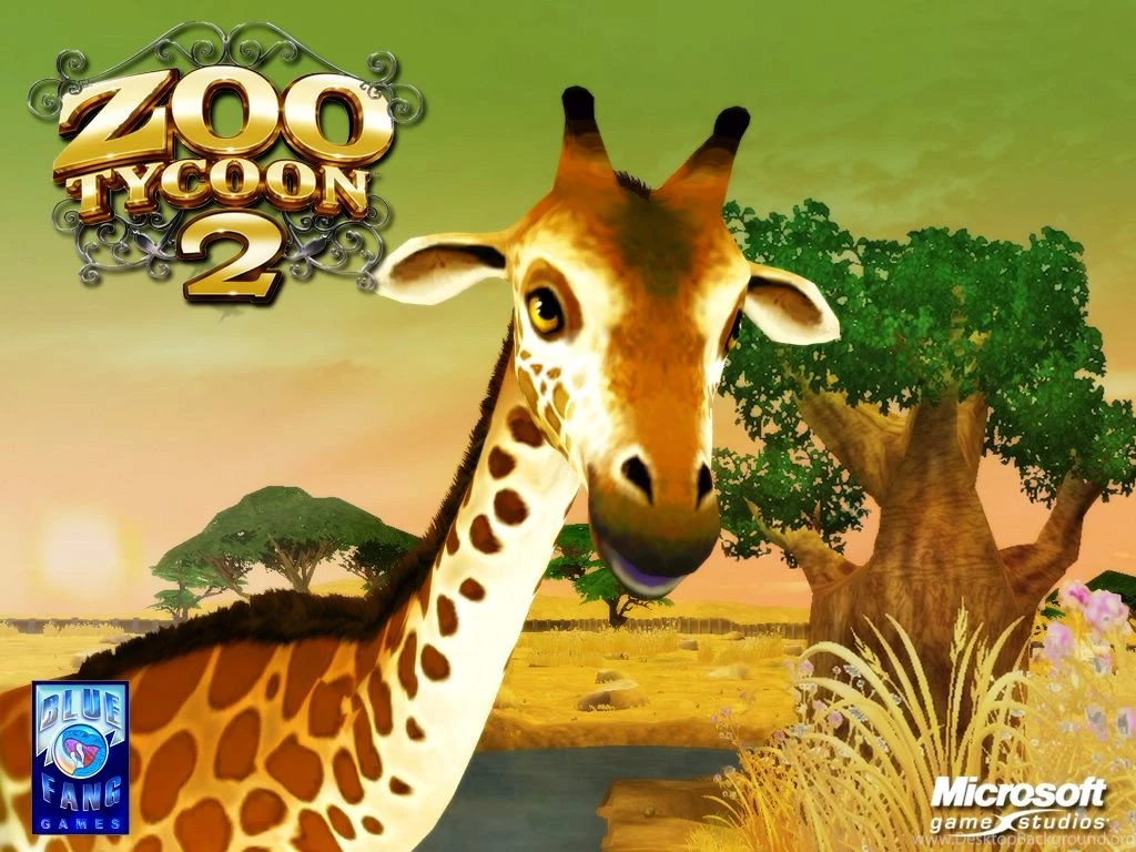 Download 5300 Background Zoo Hd Paling Keren