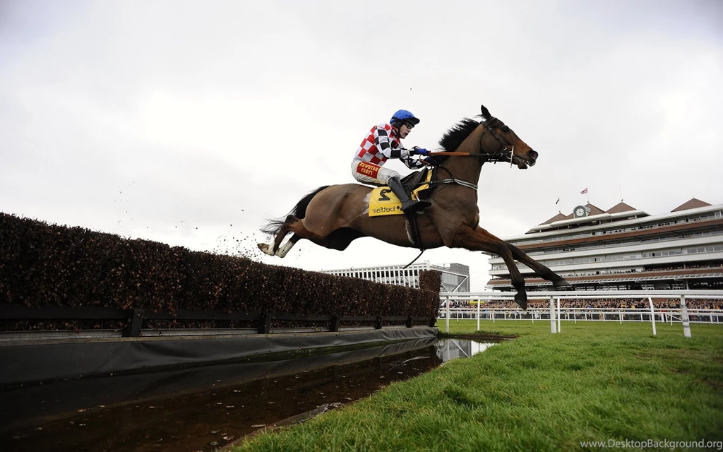 Horseback Riding Wallpapers, Free Desktop Backgrounds   Wallpapers Path