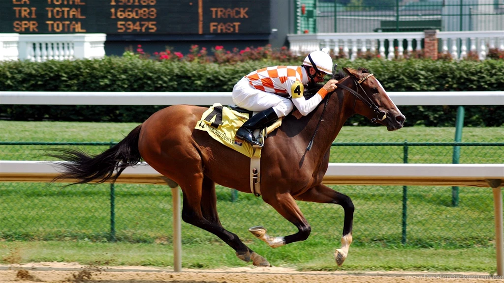 Download Wallpapers 1920x1080 Horse, Riding, Racing, Mud Full HD ...