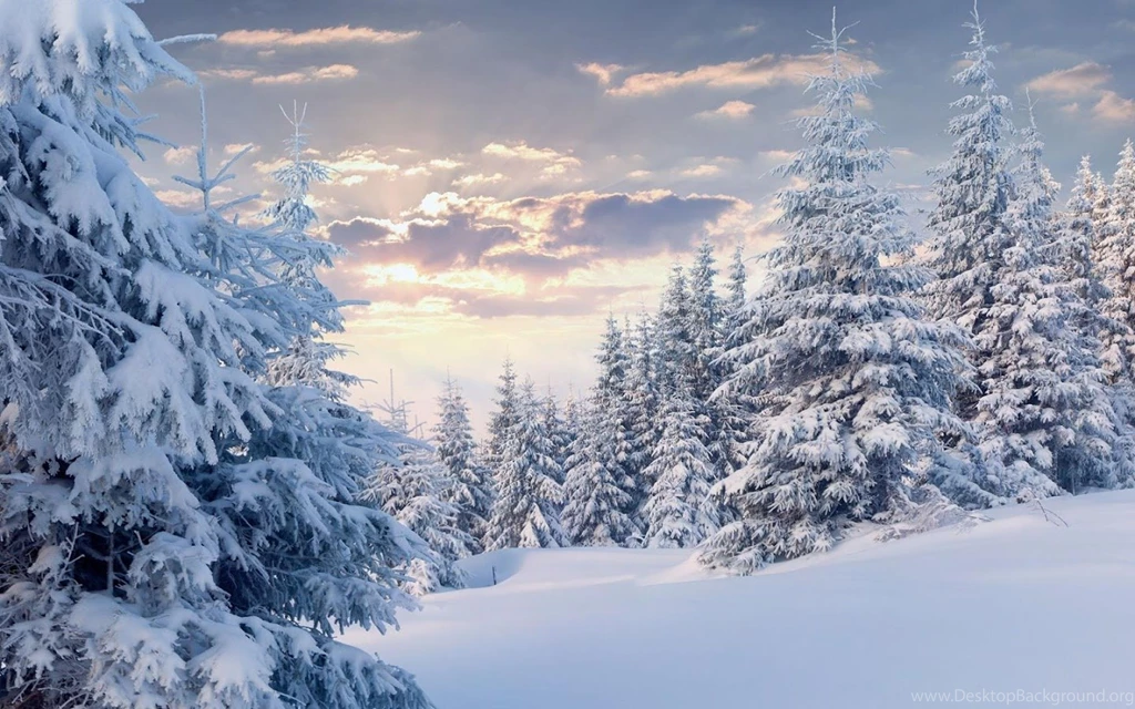 Make Snowflakes Live Wallpapers Android Apps On Google Play