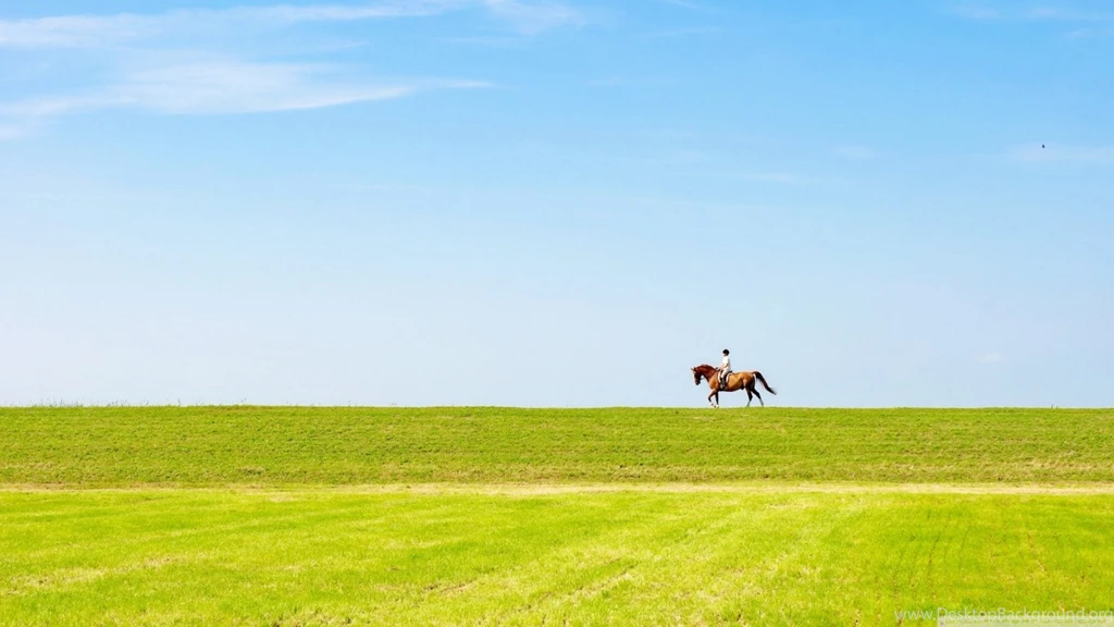 Horse Riding Wallpapers