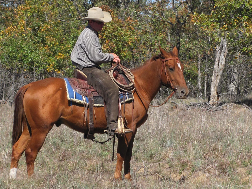 Horse Riding Computer Wallpapers, Desktop Backgrounds