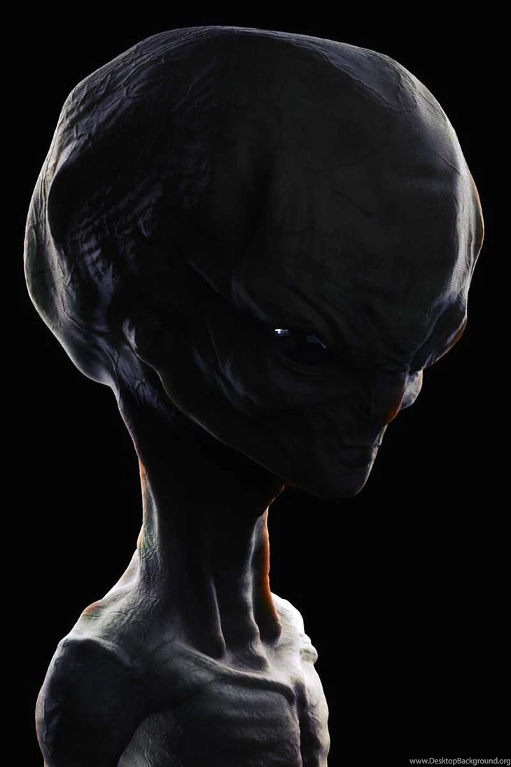Alien Head By ASkBlaster On DeviantArt