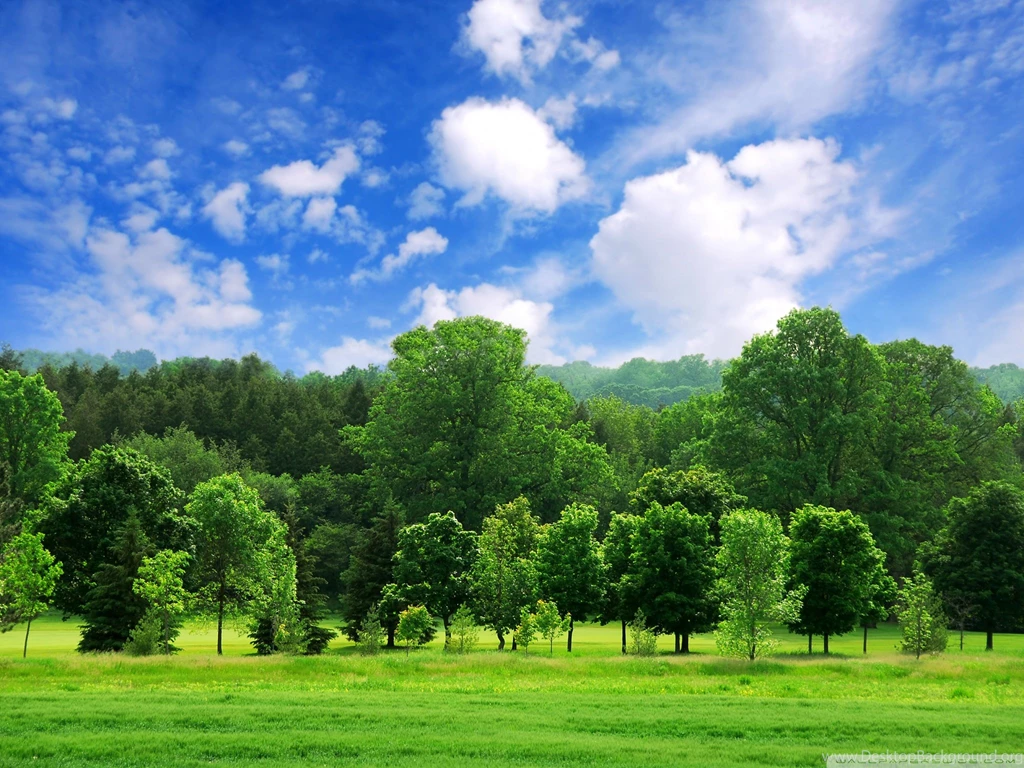 Beautiful Summer Landscape HD Desktop Wallpapers : Widescreen ...
