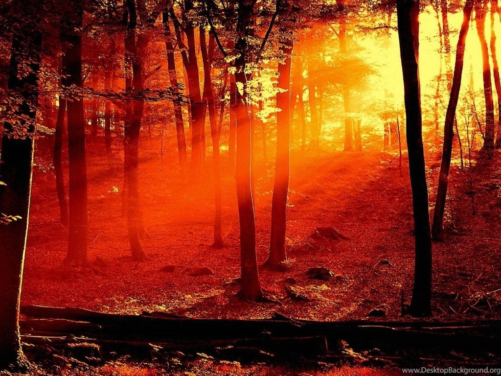 Sunset Computer Wallpapers, Desktop Backgrounds