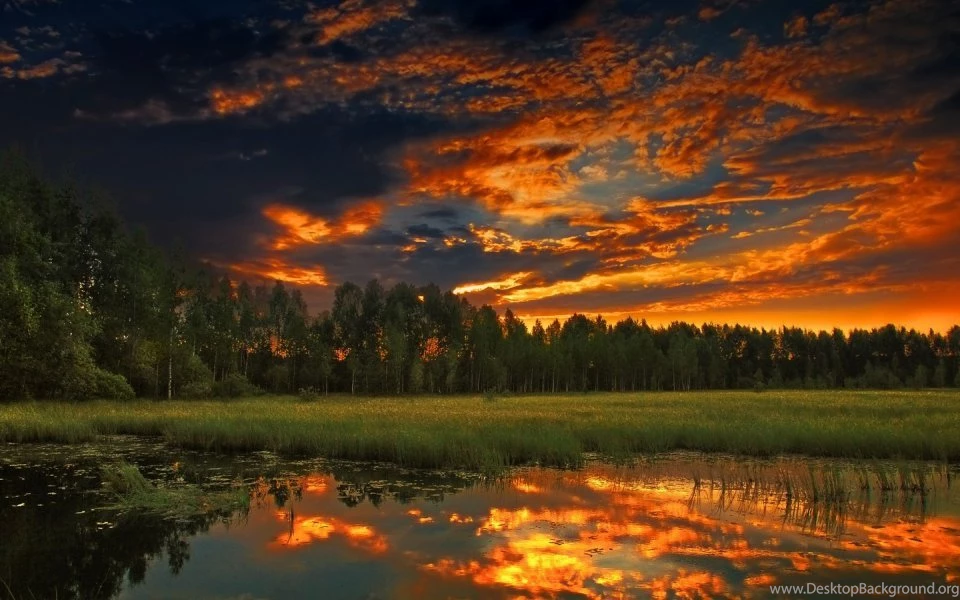 Eye Beauty Of Nature HD Free Wallpapers