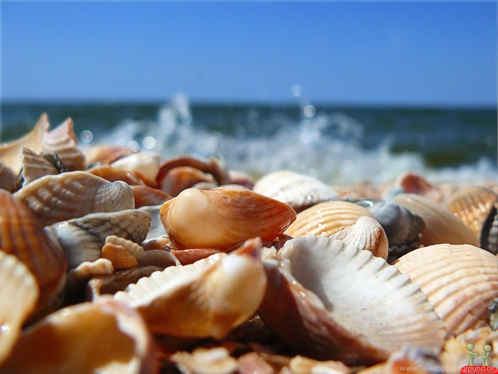 Nature Photos: Wallpapers Nature Sea