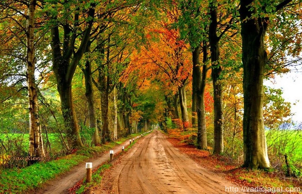 Fantasy Wallpapers Nature