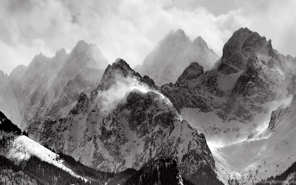 IOS 8 Snow Forest Default Mac HD Wallpapers Mac For Desktop ...