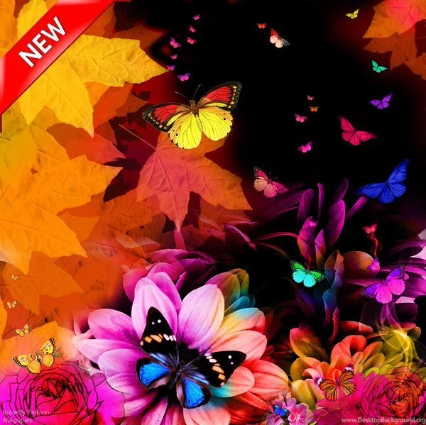 Butterfly Fashion Wallpapers V2.7 New Android App Free Download