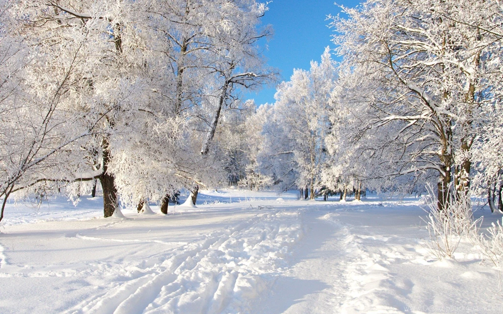 Winter Nature HD Wallpapers