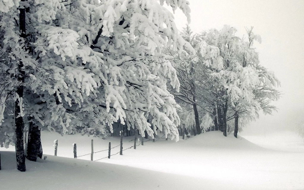 Wallpapers Seasons Winter Nature Image