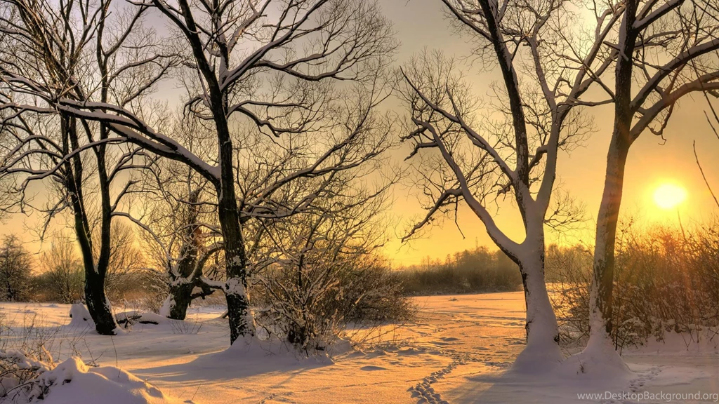 Winter Nature Wallpapers Best Quality ~ Wallpapers Area