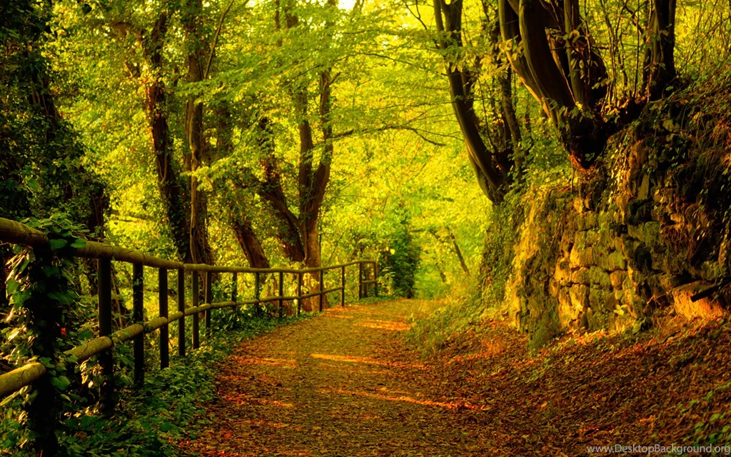 Download Top Scenery Backgrounds 1920x1200 Full HD Wall