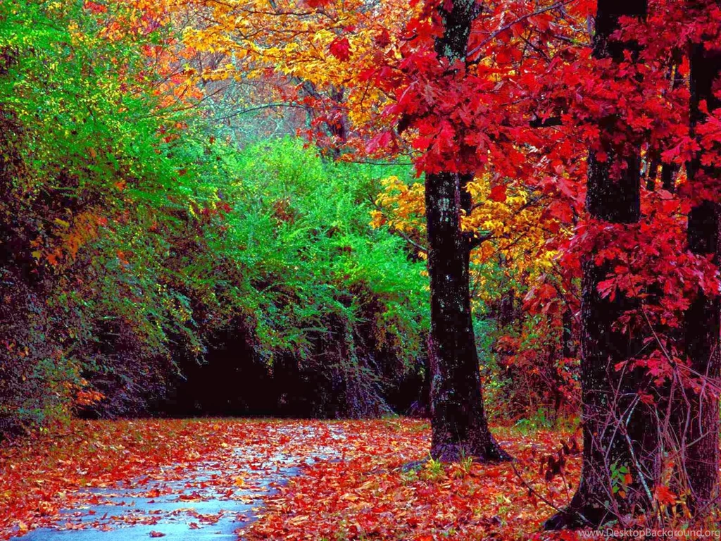 Nature Landscapes HD Wallpapers