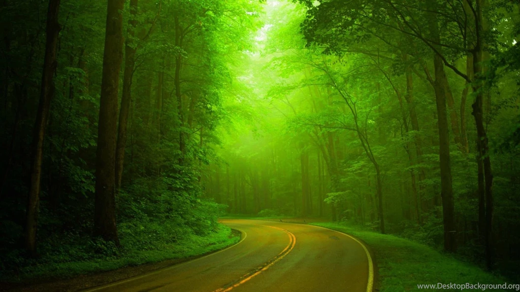 Natural, Green Forests, Woods, Roads, Hazy, Green Landscape >> HD ...