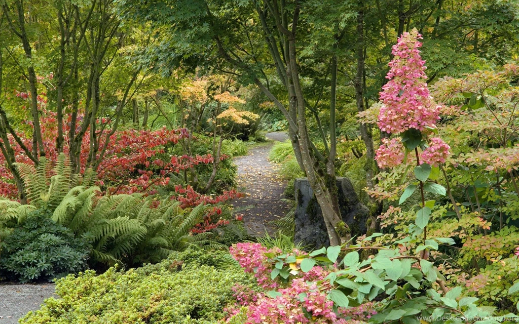 Charming Natural Scenery HD Wallpapers (2)