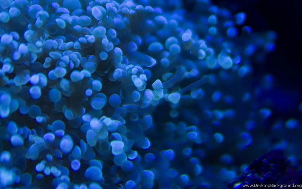 Deep Blue Wallpapers Download Free