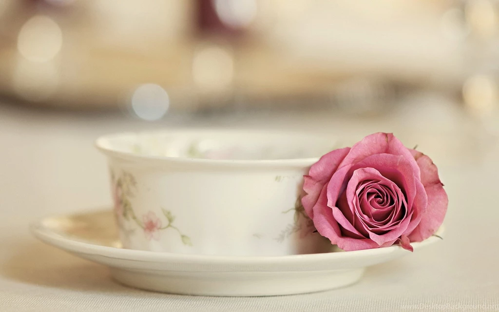Beautiful Tea Cup Wallpapers