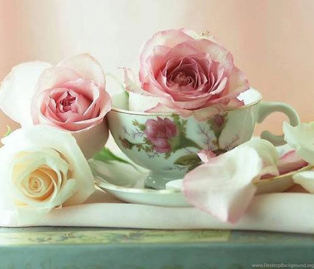 Roses And Teacup (