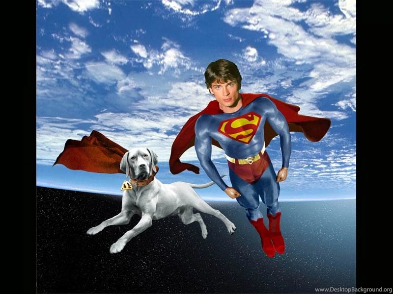 Wallpapers Fitness Boys Superman Fan Art Featuring Krypto And ...