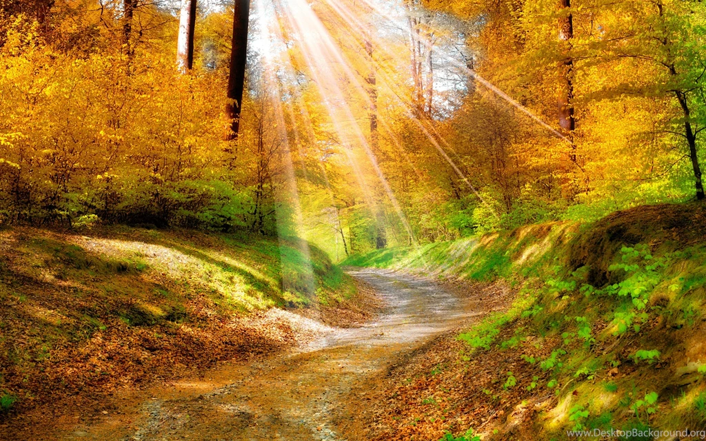 Sunlight Wallpapers HD