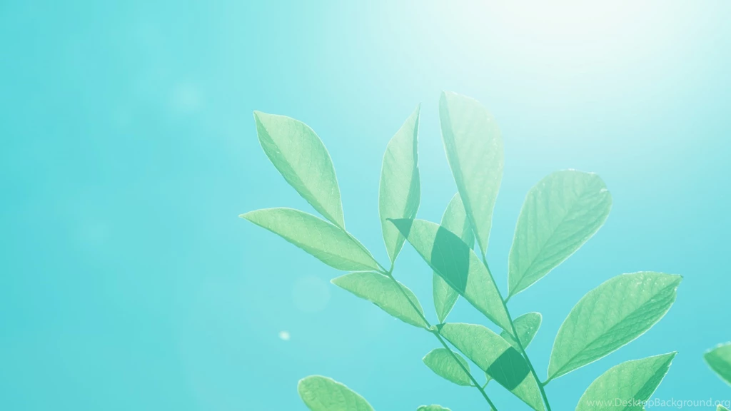 Free Sunlight Wallpapers