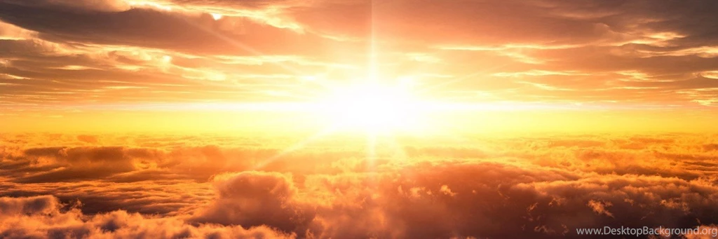 Sunlight Wallpapers Jungle