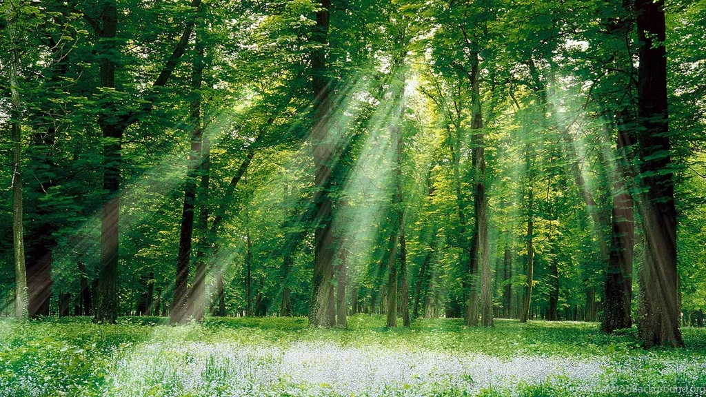 1920x1080px – Sunlight Wallpapers
