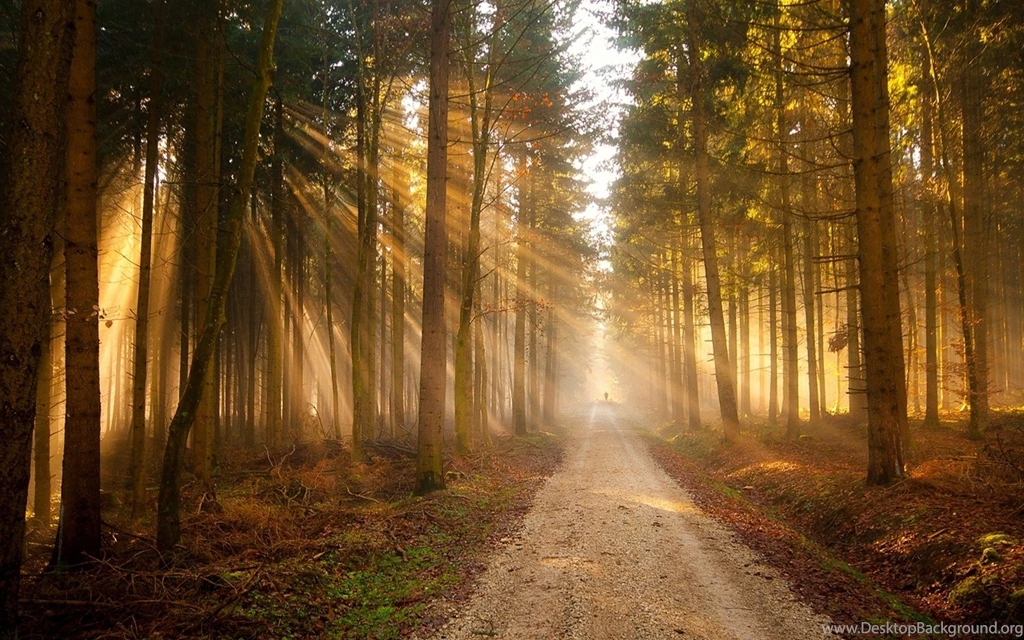 Best Nature Wallpaper: Sunlight, 358972, Nature