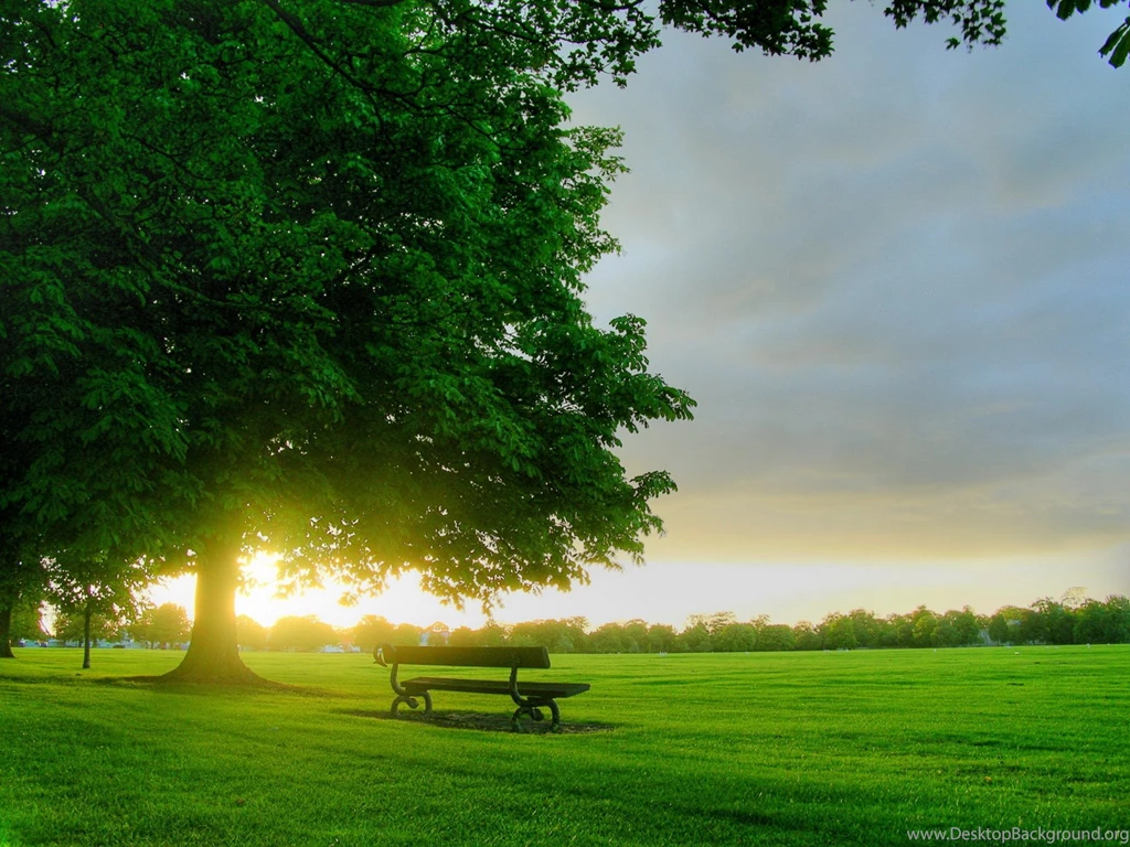 Bench In Sunlight Wallpapers