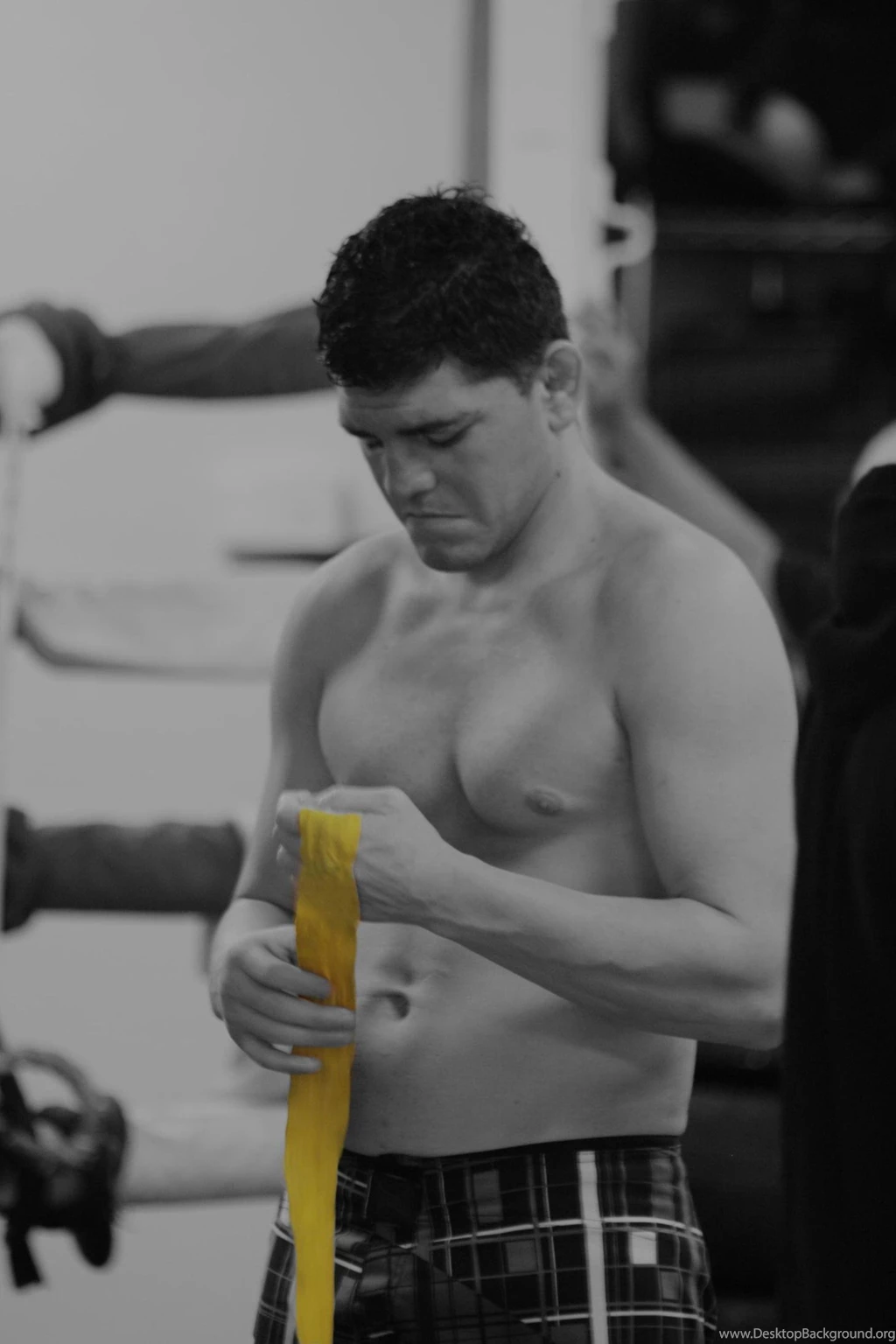 WWE Nick Diaz