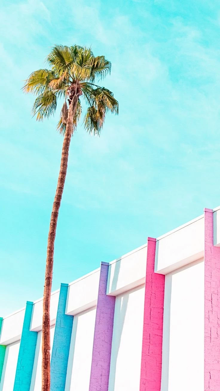 Palms Springs iPhone Wallpapers