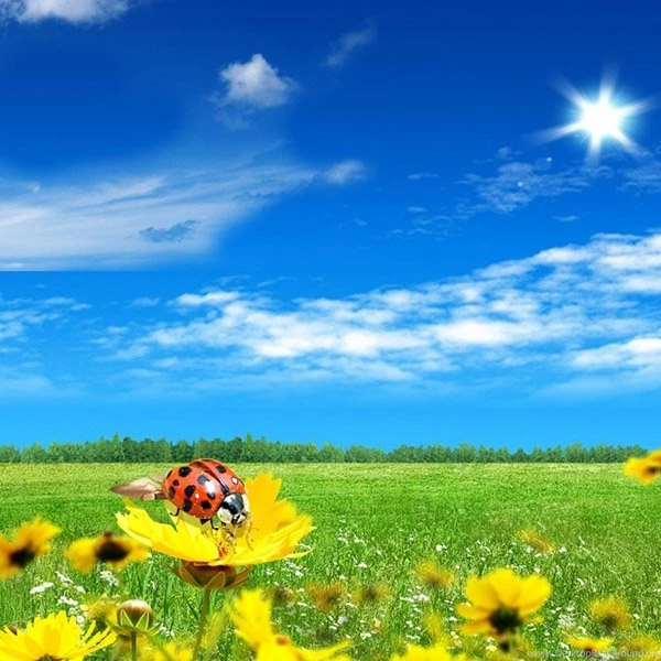 20 High Definition Spring Wallpapers