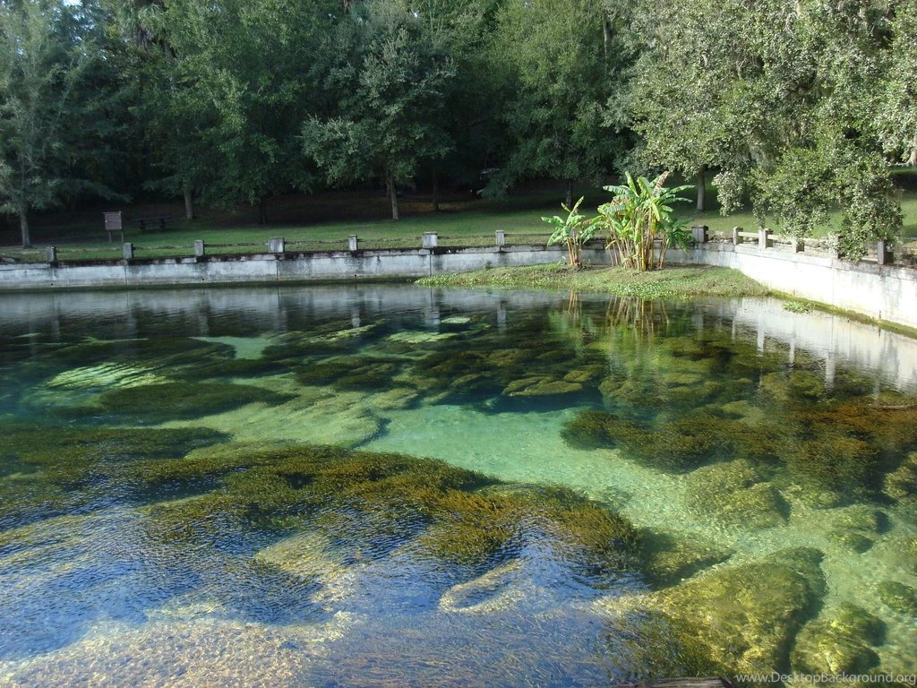 Florida Springs Wallpapers