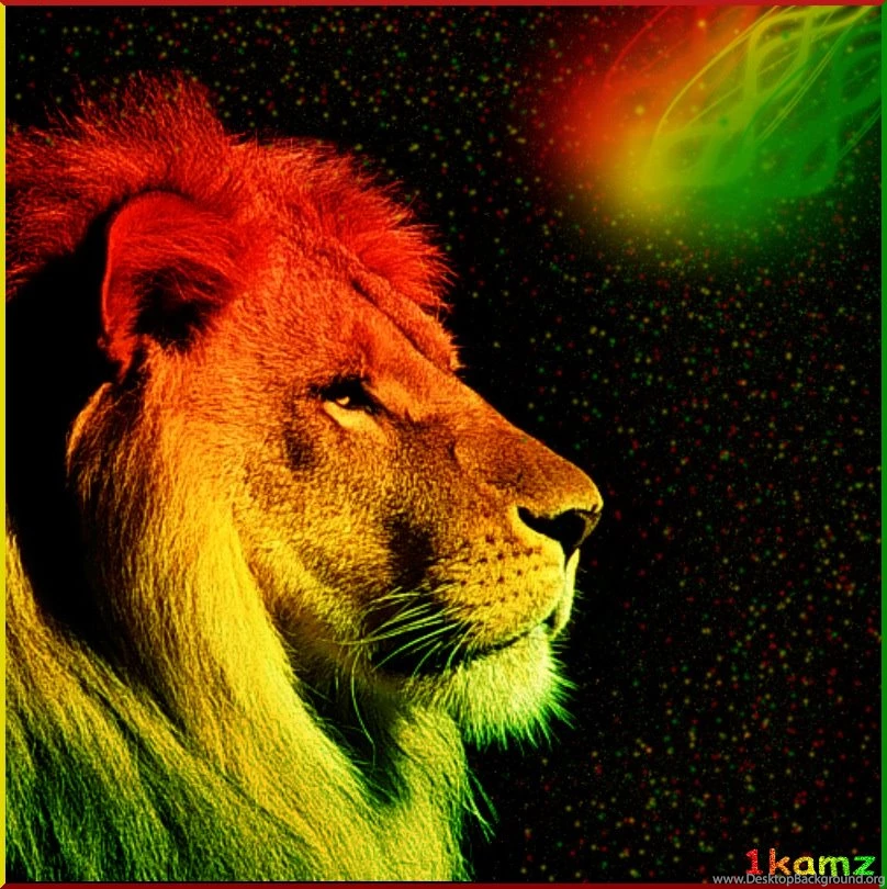 Rasta Lion Desktop Backgrounds Wallpaper.