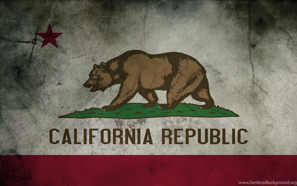 What Do Flags Mean To You?