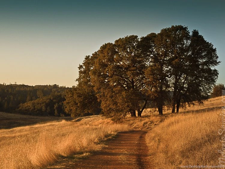 Northern California Landscape. {Wallpapers Friday} —