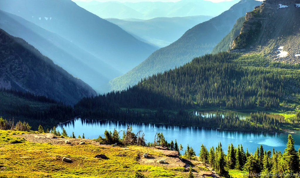 Hd Nature Images, Plants, Fresh Air, Widescreen Wallpapers ...