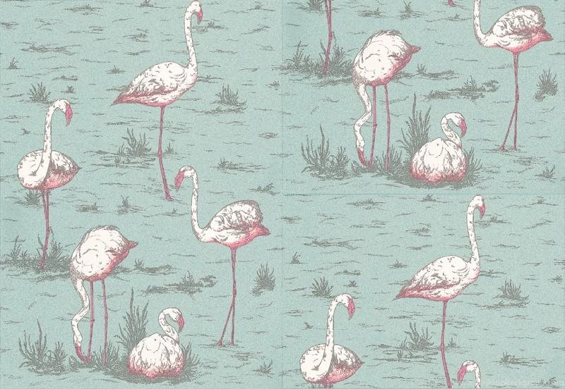 Flamingos By Cole & Son : Wallpapers Direct