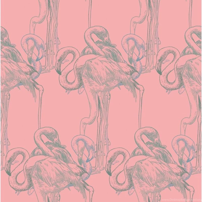 Flamingo Unwoven Wallpapers Pop